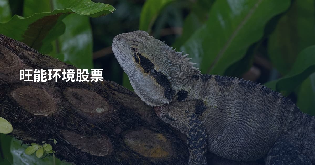 旺能环境股票