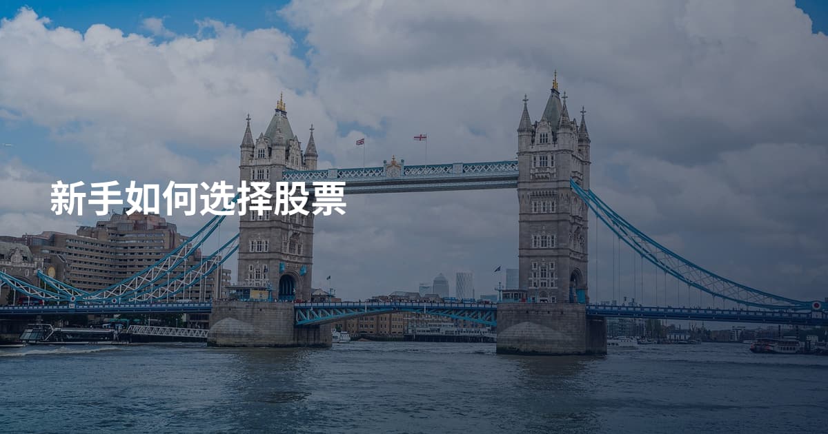 新手如何选择股票