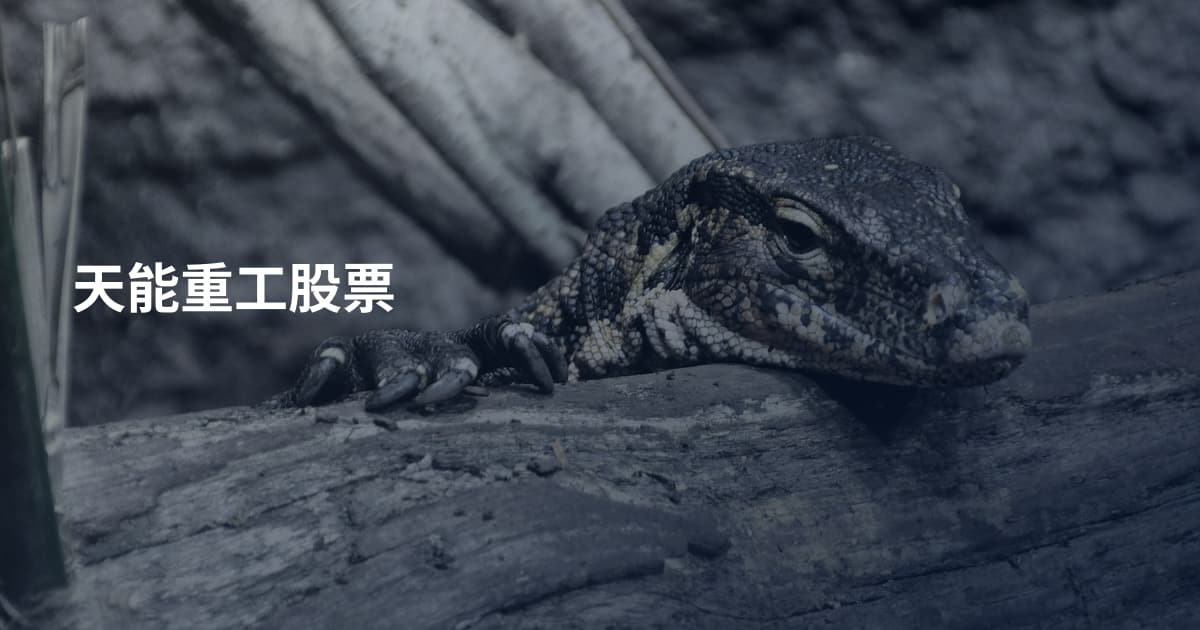 天能重工股票