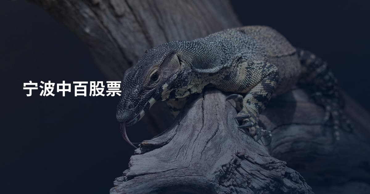 宁波中百股票