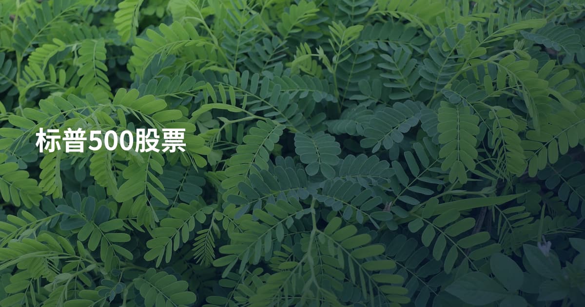 标普500股票