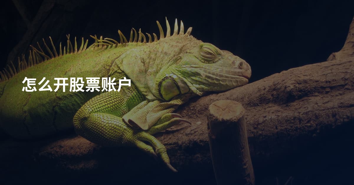 怎么开股票账户