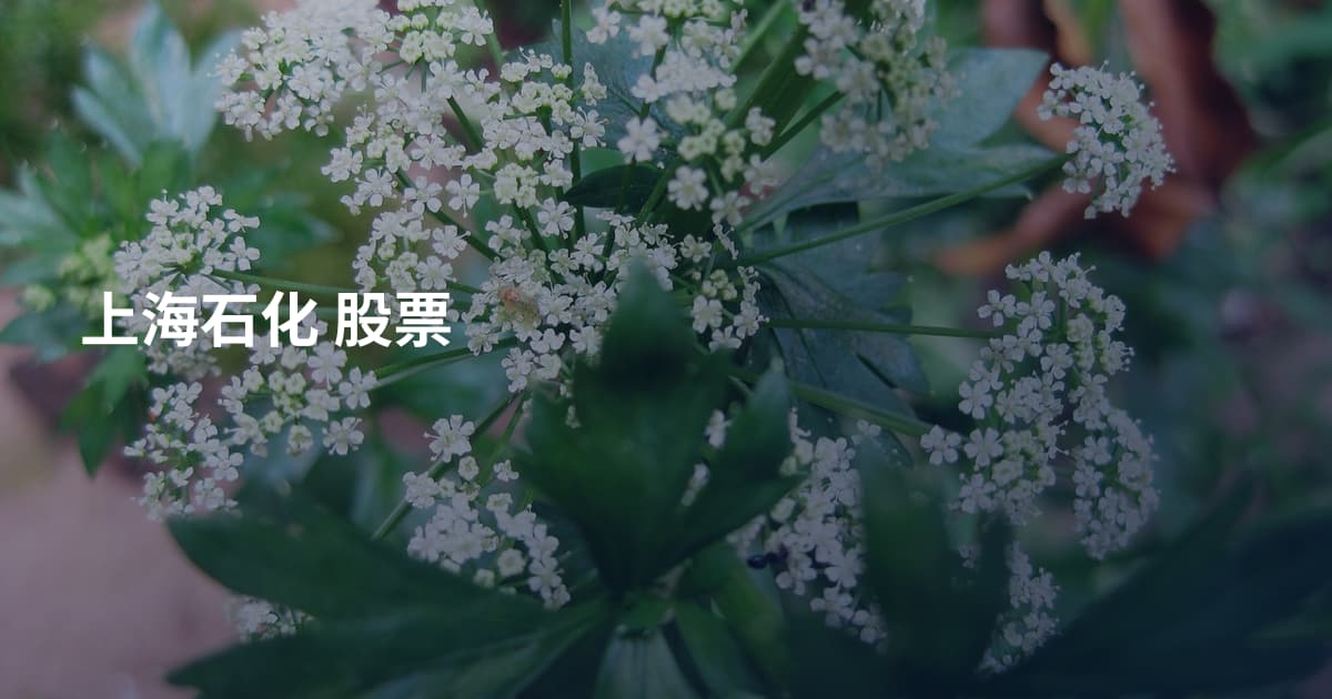 上海石化 股票