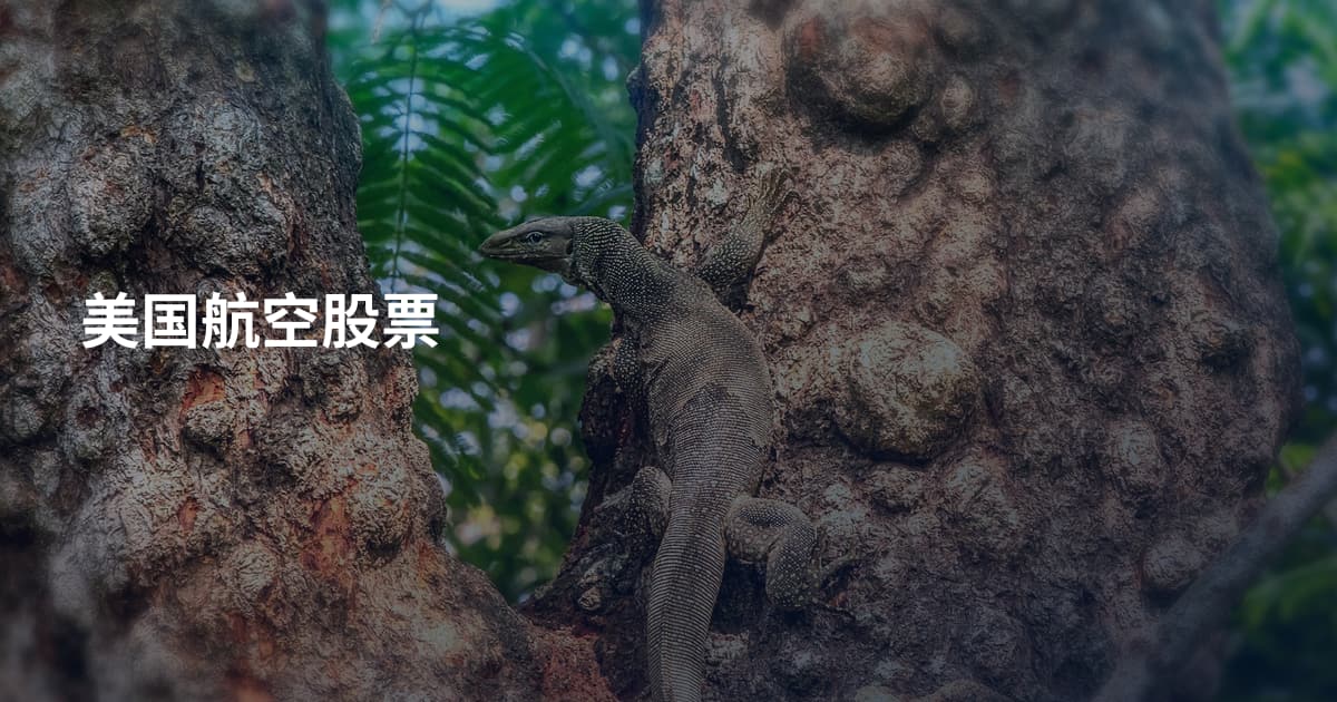 美国航空股票