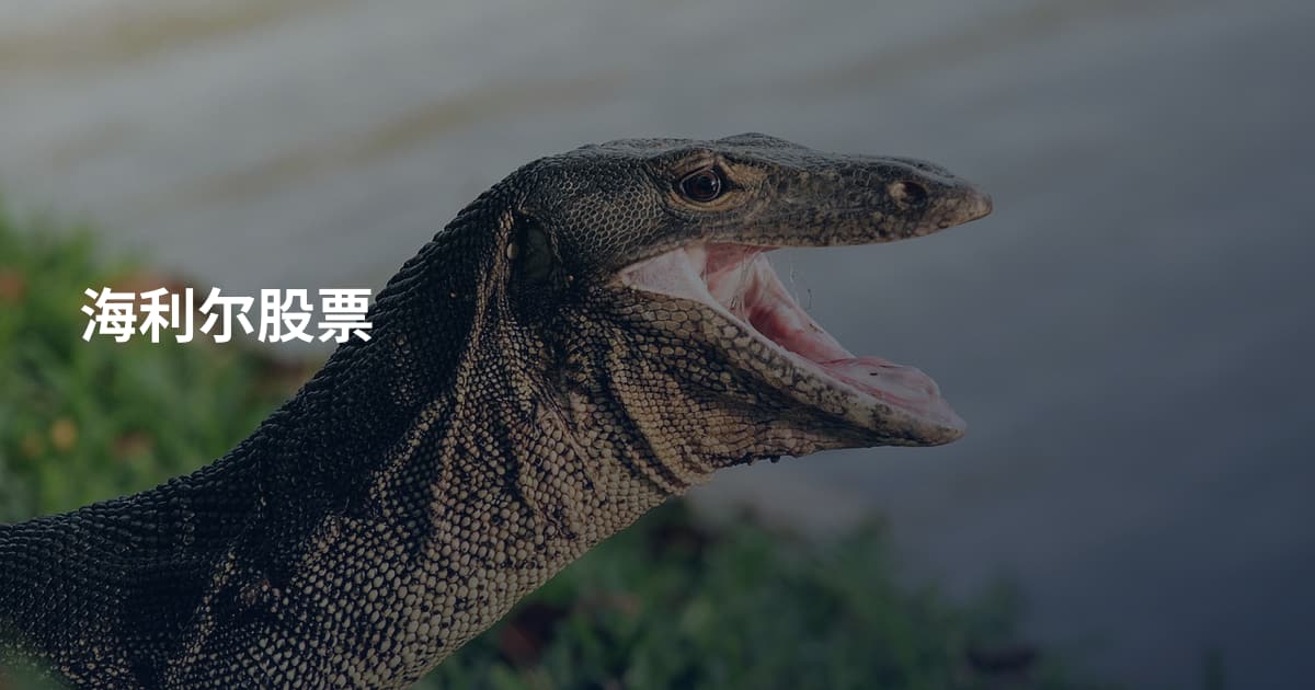 海利尔股票