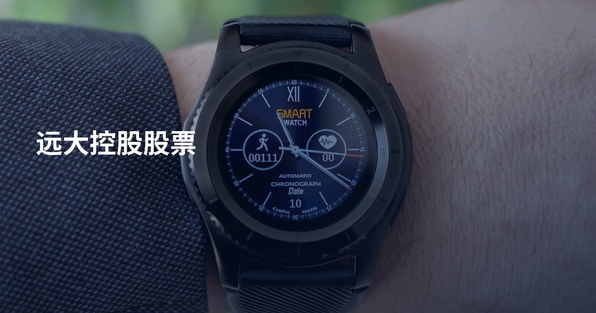远大控股股票
