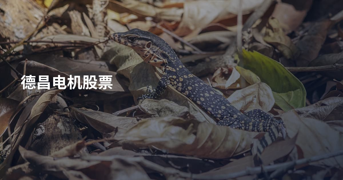 德昌电机股票