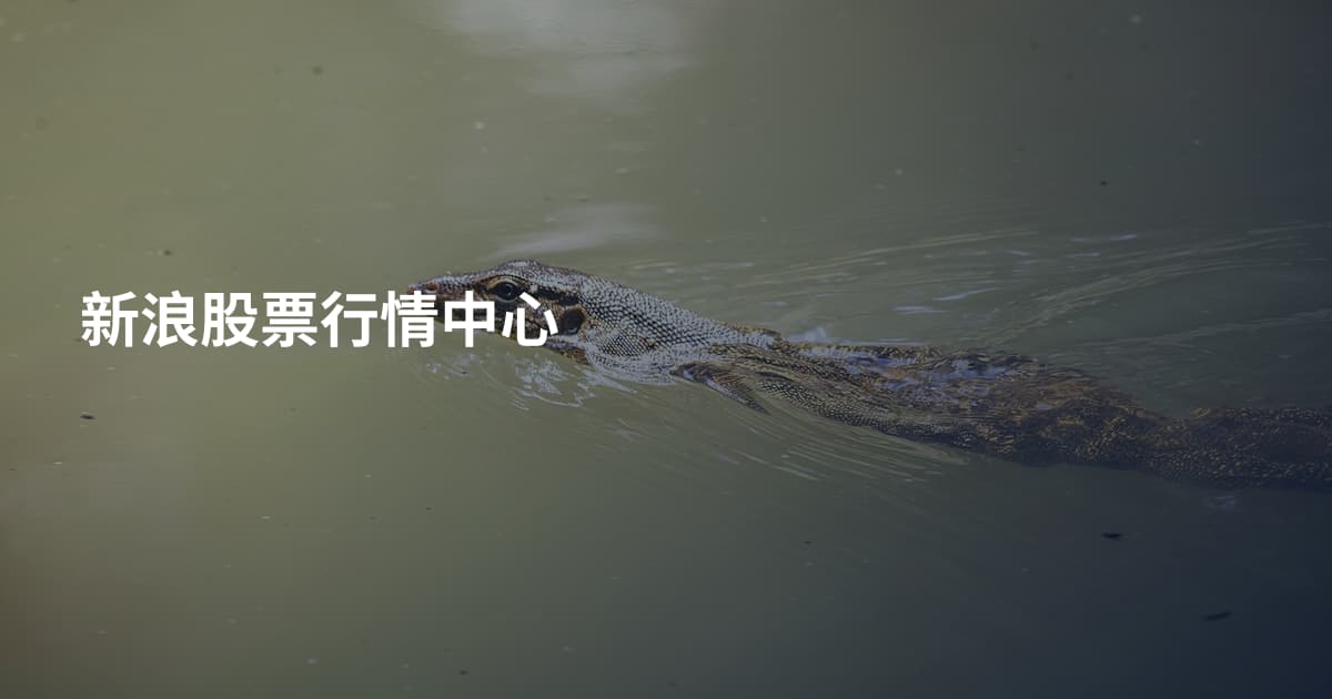 新浪股票行情中心