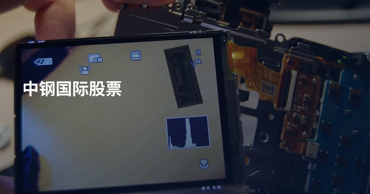 中钢国际股票