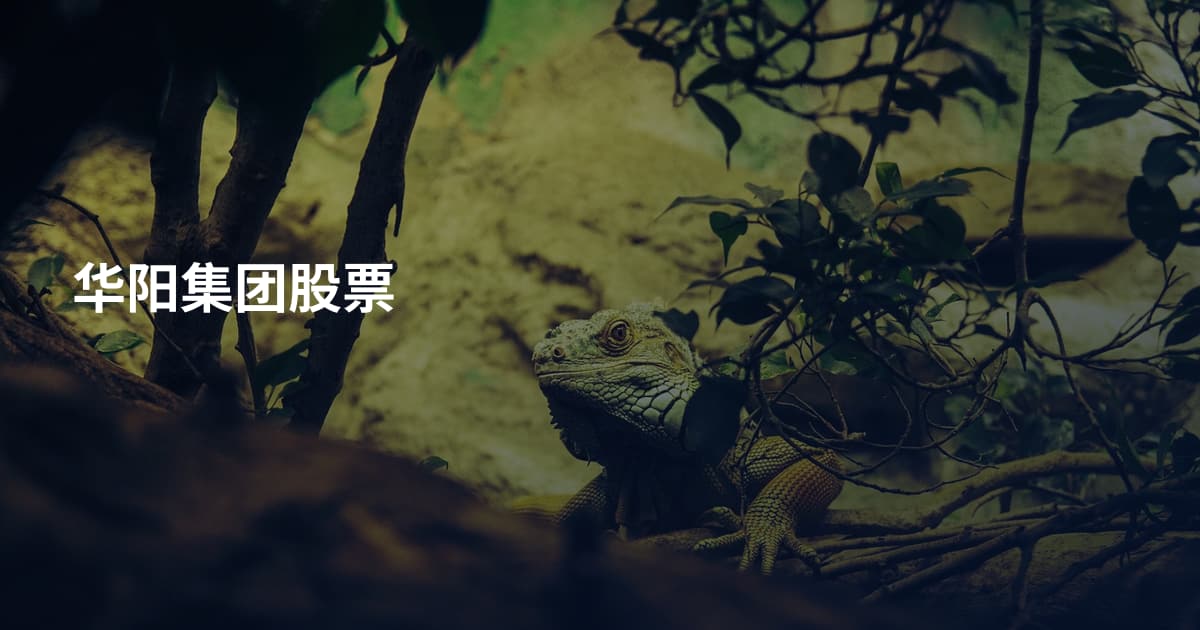 华阳集团股票