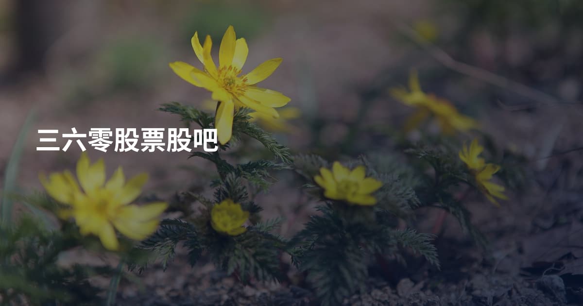 三六零股票股吧