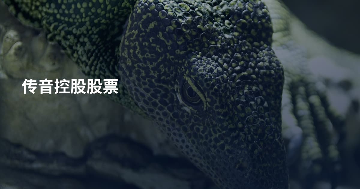 传音控股股票