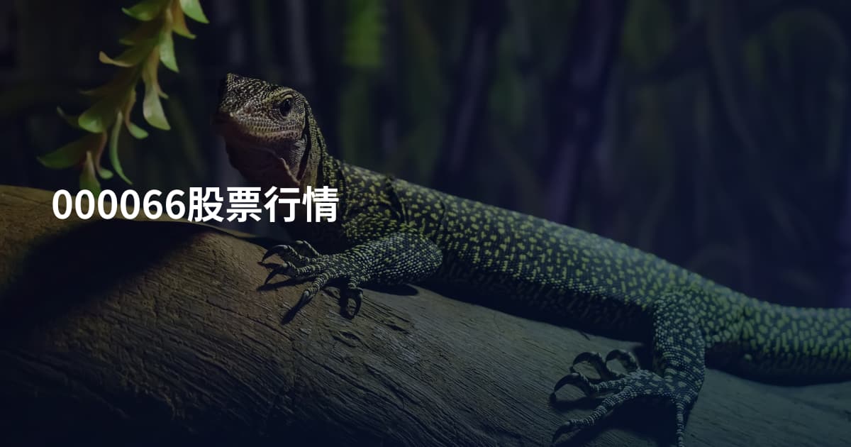 000066股票行情