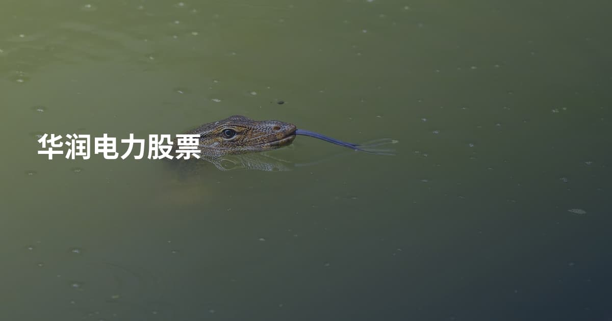 华润电力股票