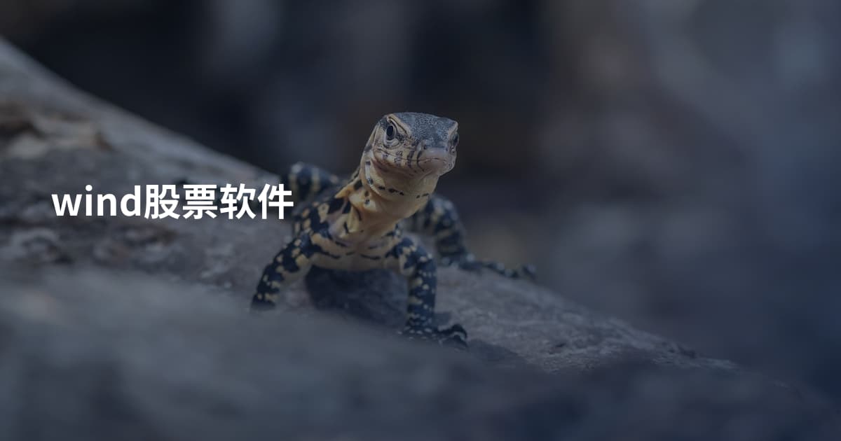 wind股票软件