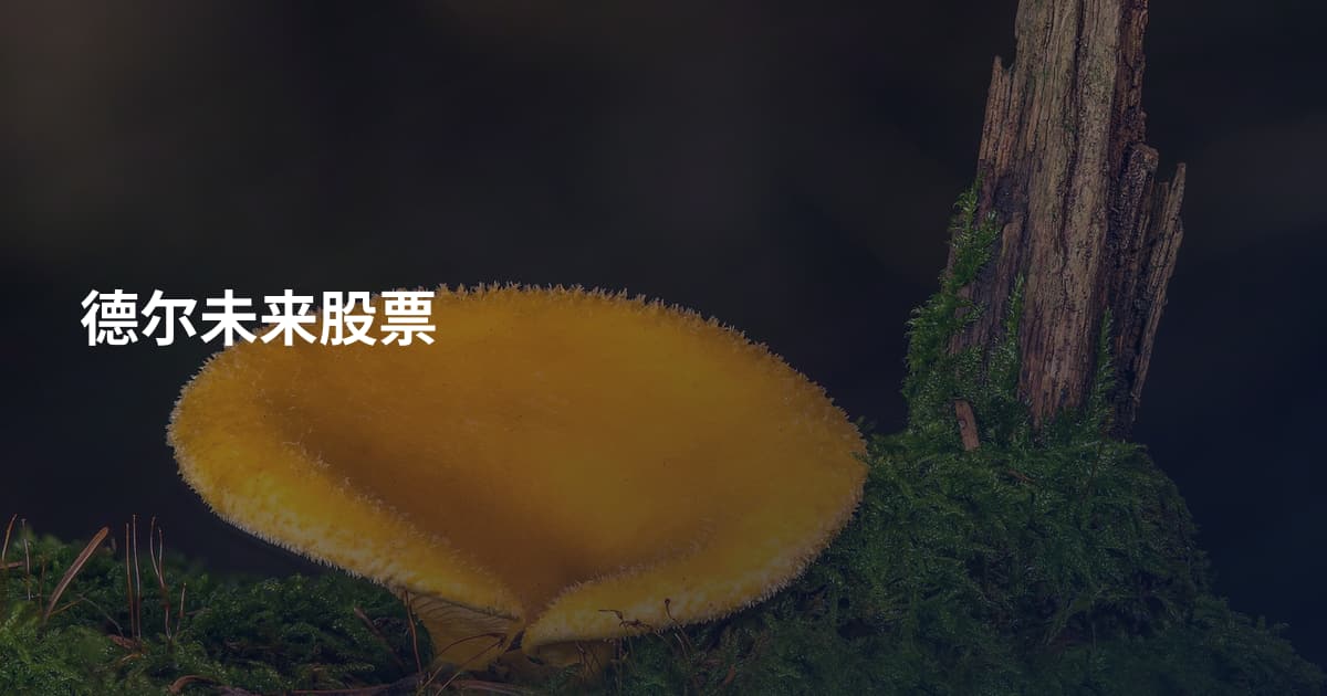 德尔未来股票