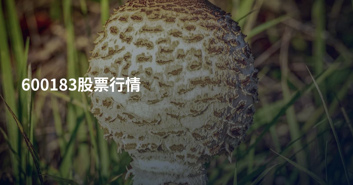 600183股票行情