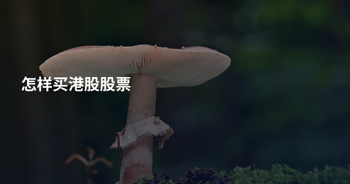 怎样买港股股票
