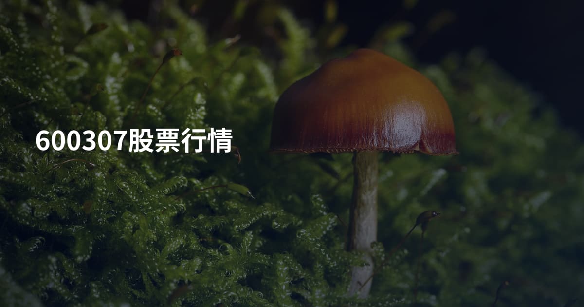 600307股票行情