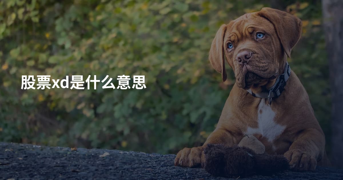 股票xd是什么意思