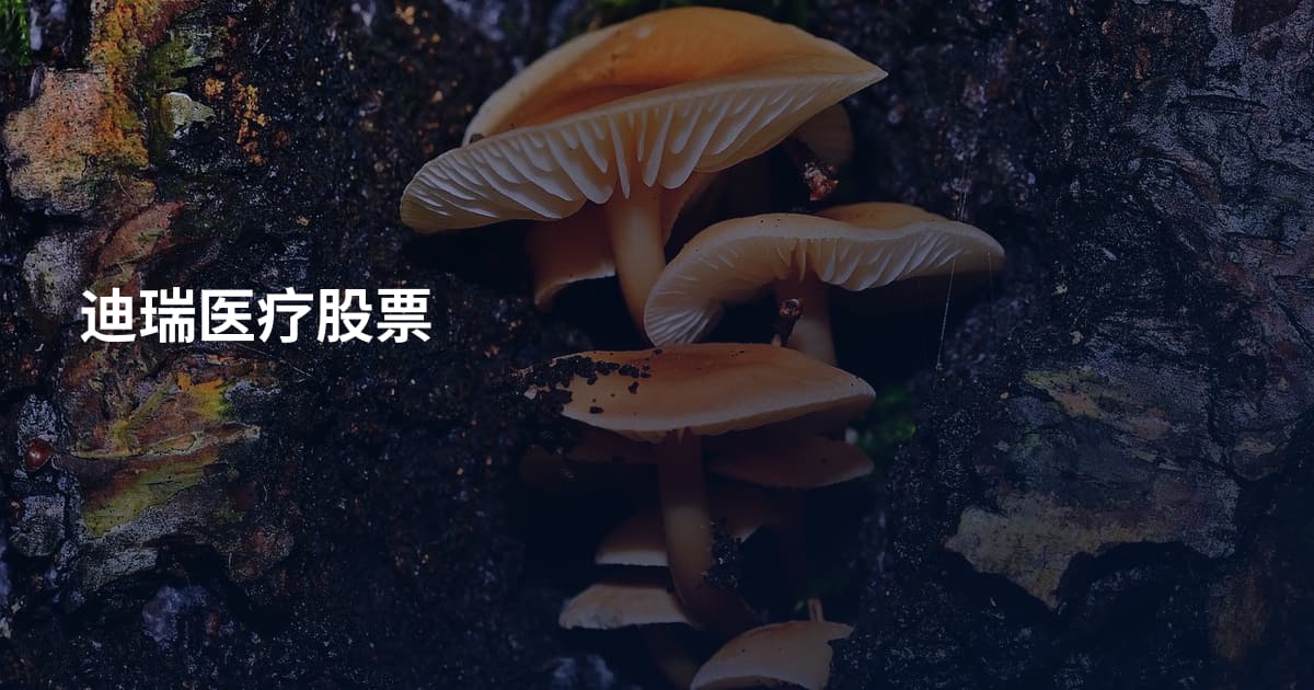 迪瑞医疗股票