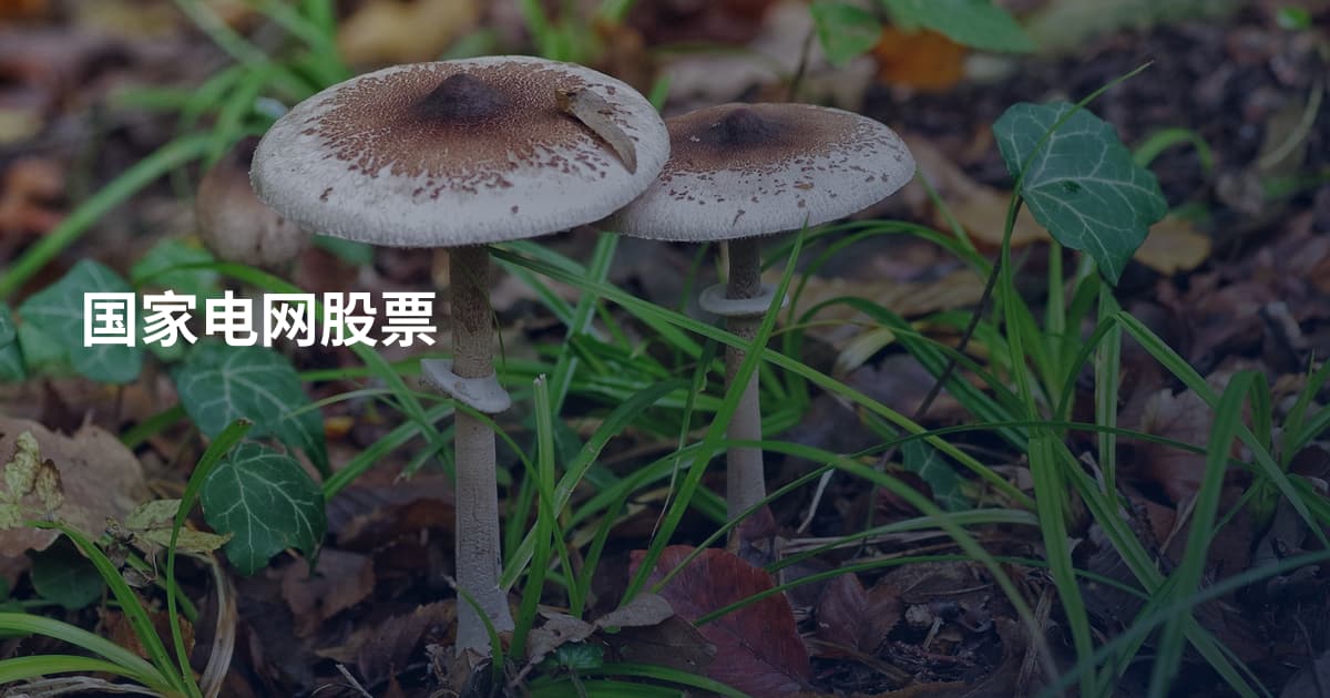 国家电网股票