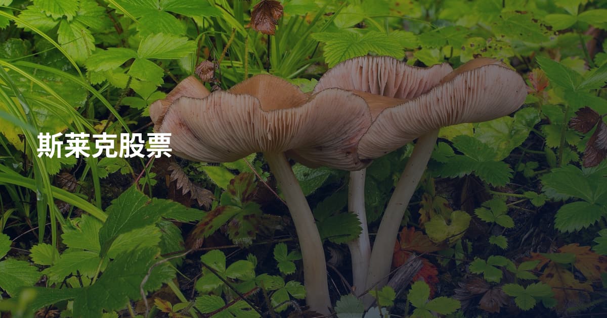 斯莱克股票