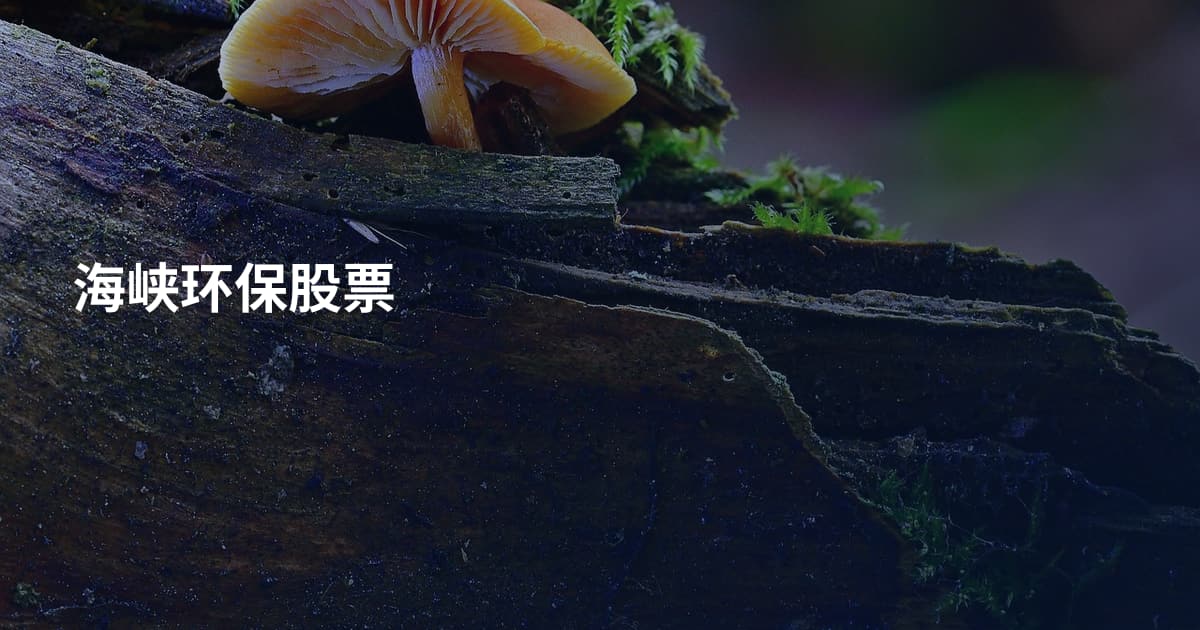 海峡环保股票