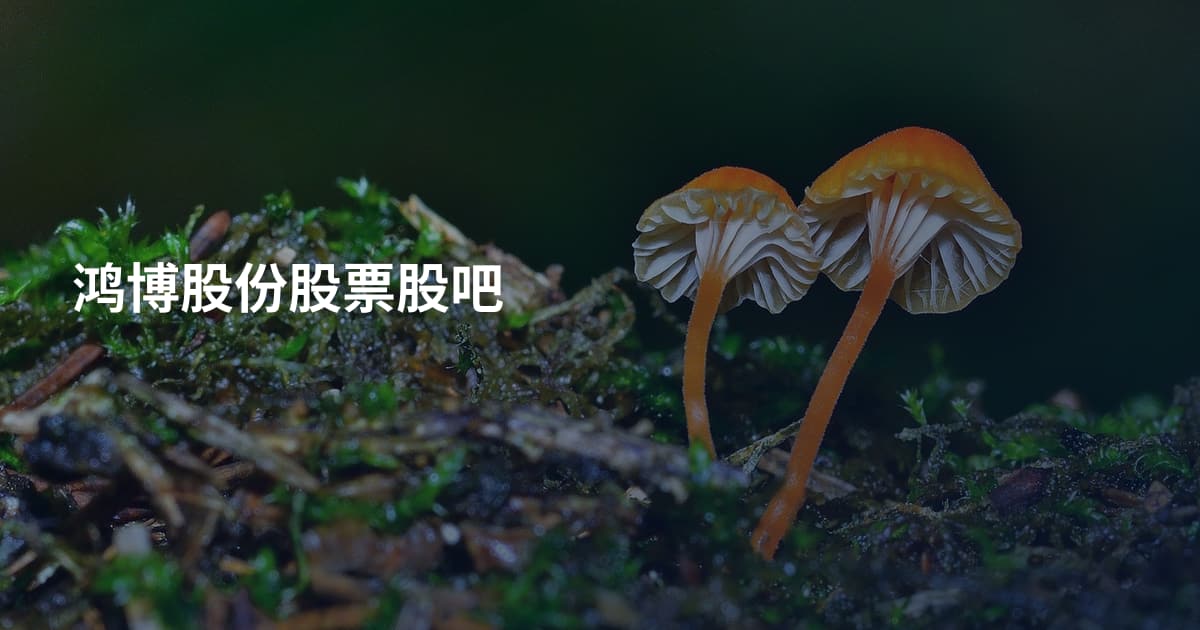鸿博股份股票股吧