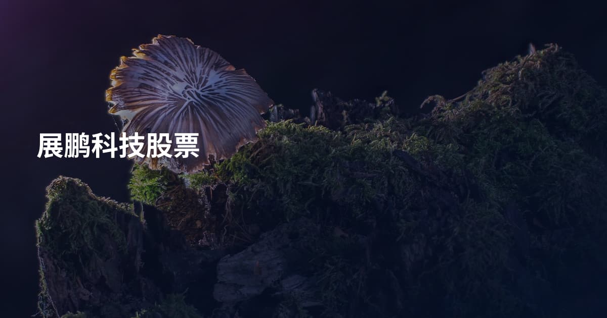 展鹏科技股票