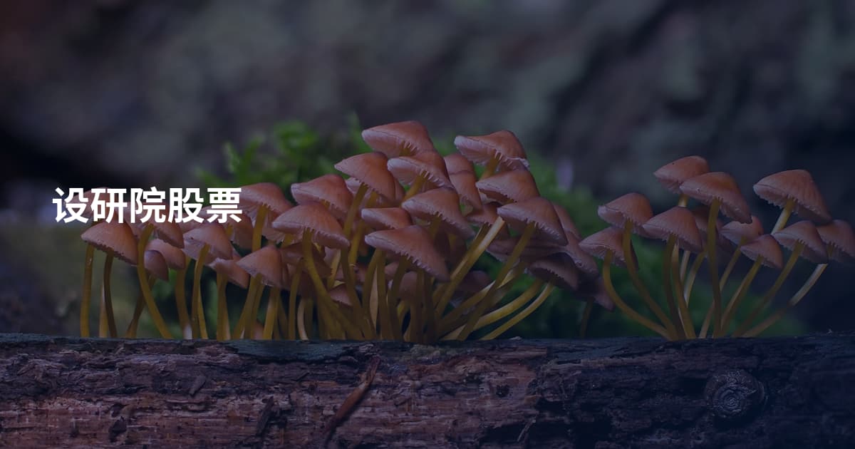 设研院股票
