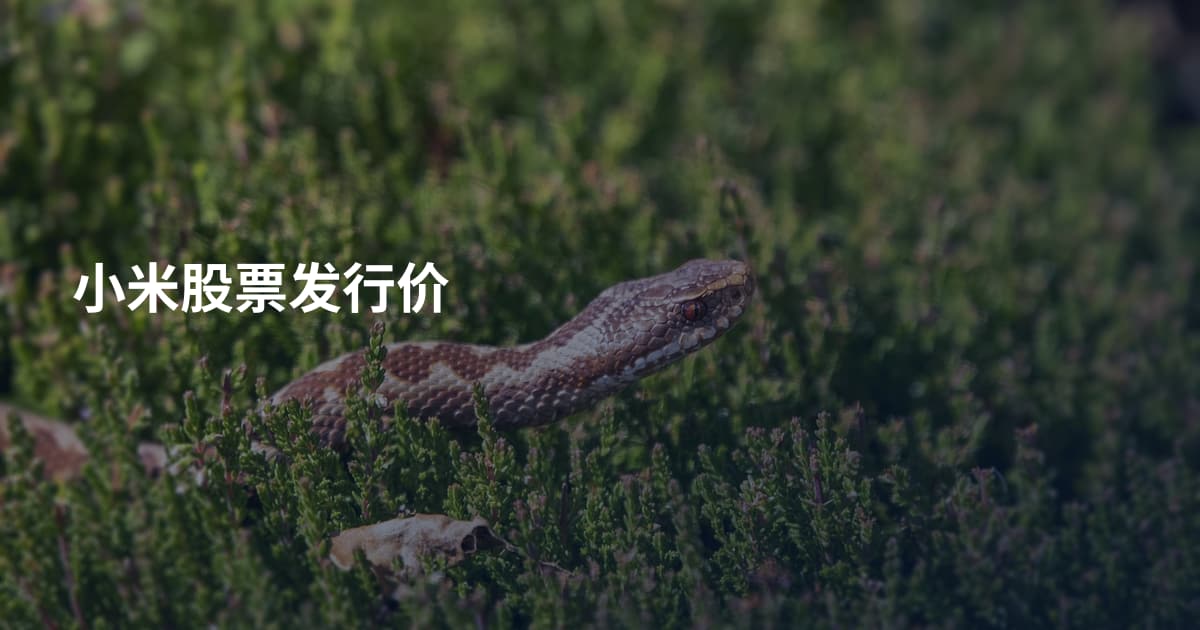 小米股票发行价