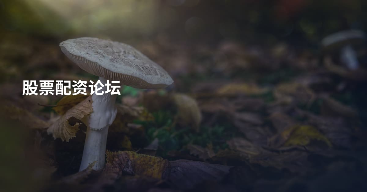 股票配资论坛