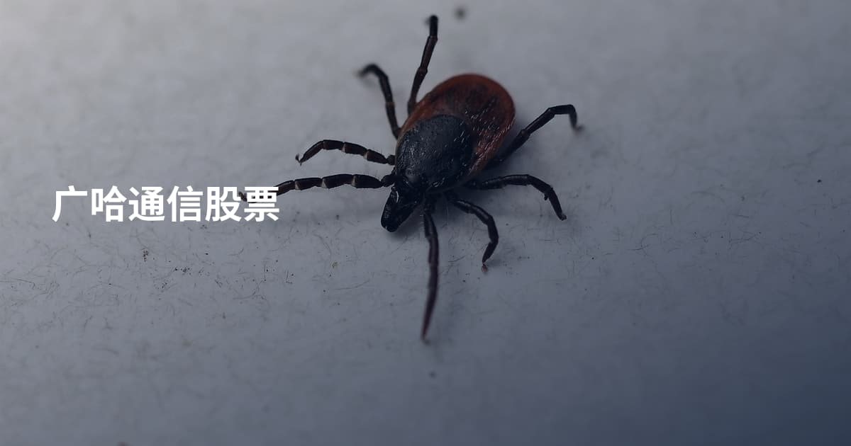 广哈通信股票