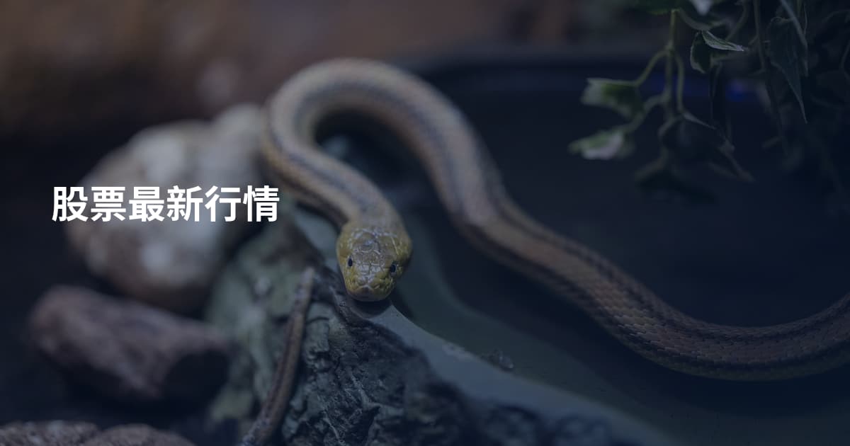 股票最新行情