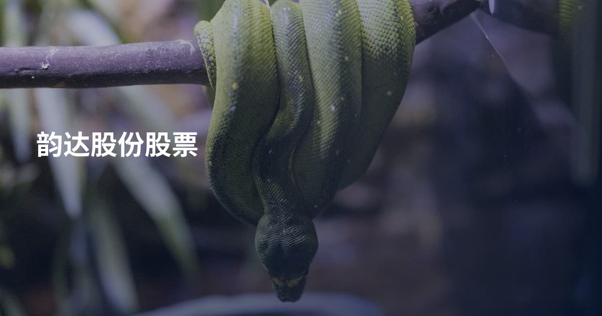 韵达股份股票