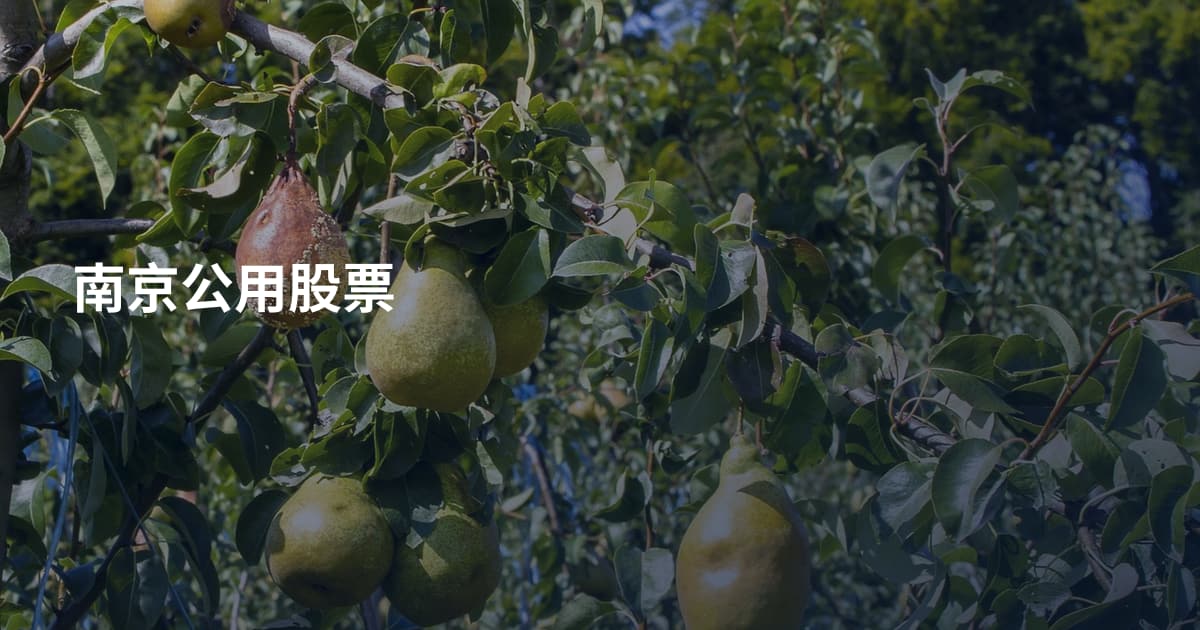 南京公用股票