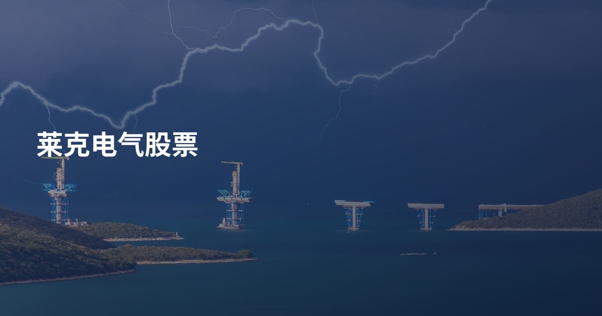 莱克电气股票
