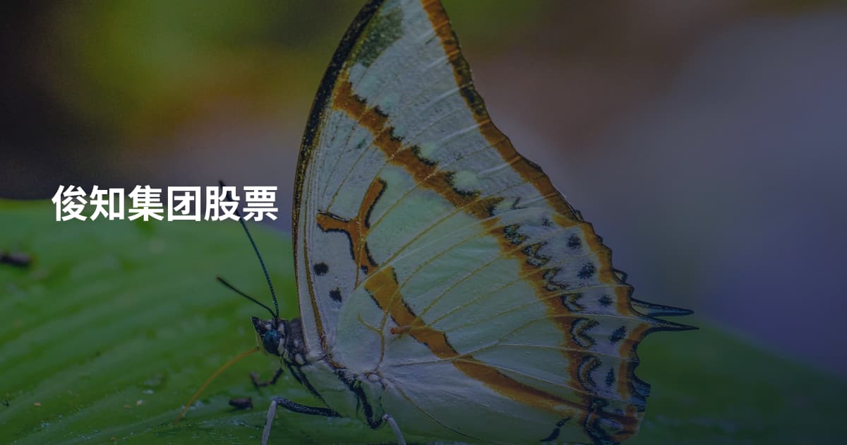 俊知集团股票