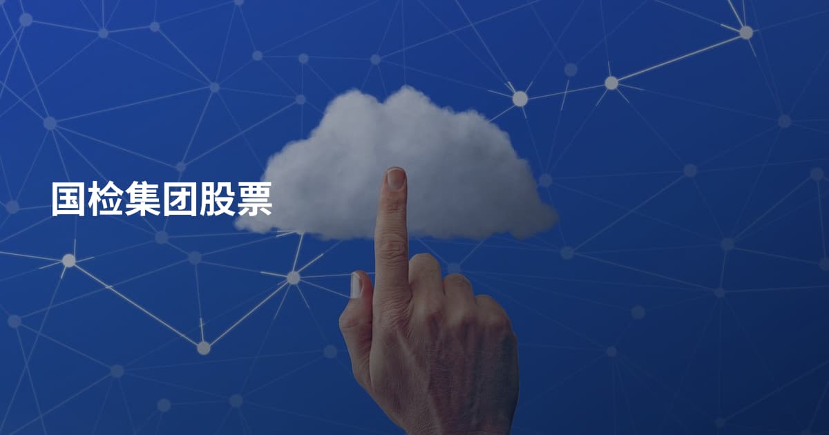 国检集团股票