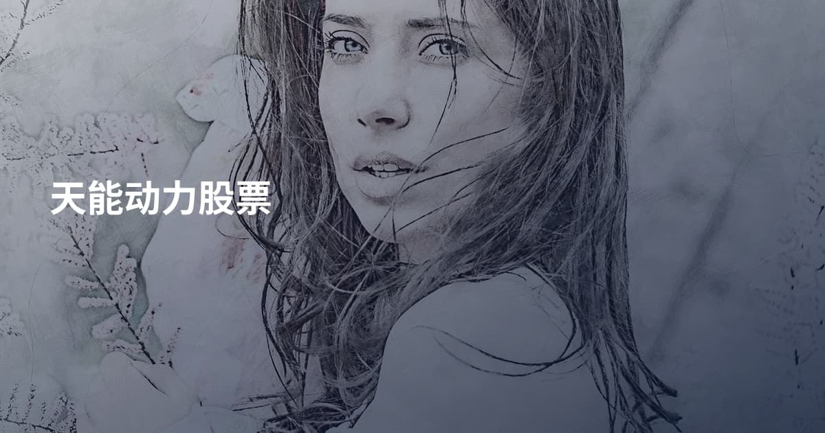 天能动力股票