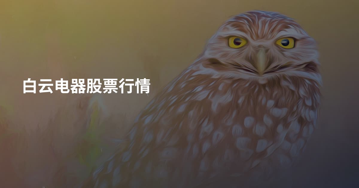 白云电器股票行情