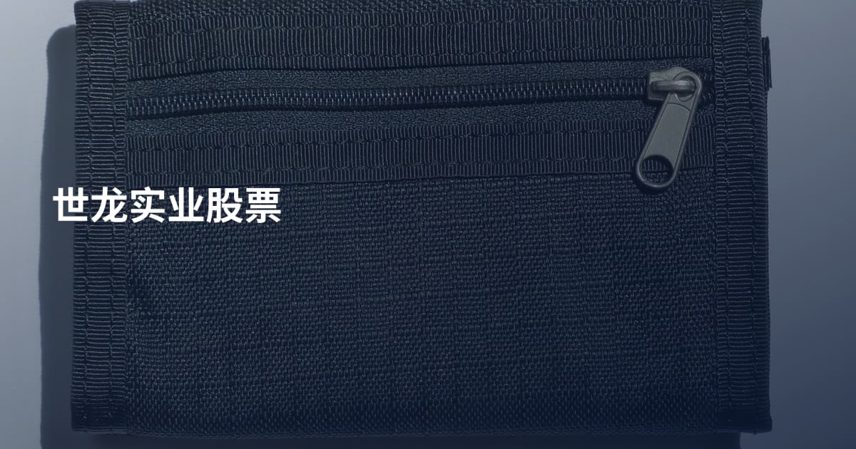 世龙实业股票