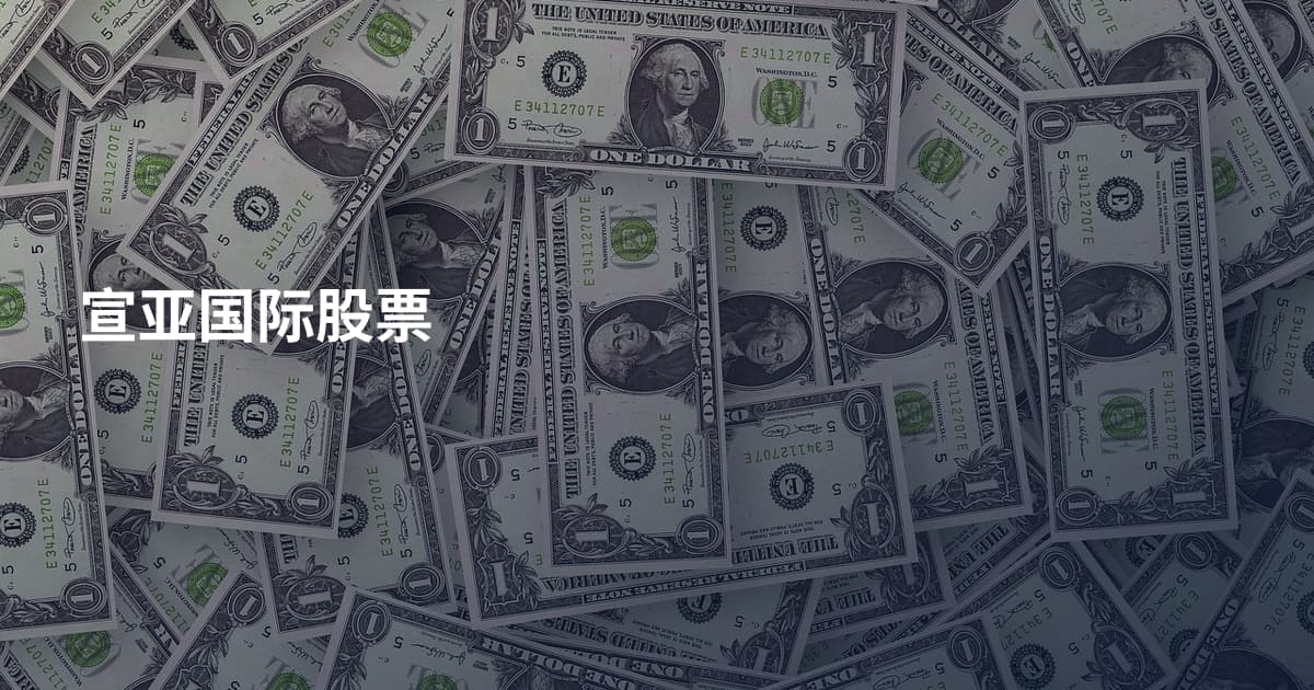 宣亚国际股票