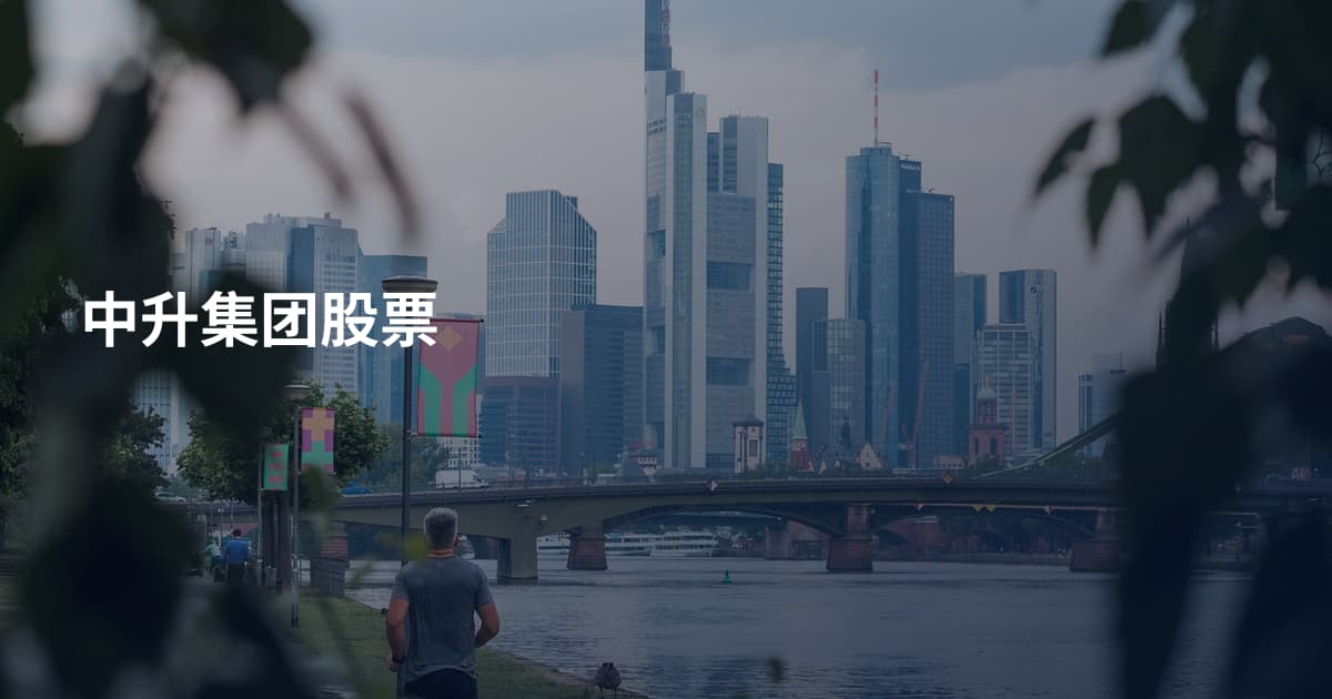 中升集团股票