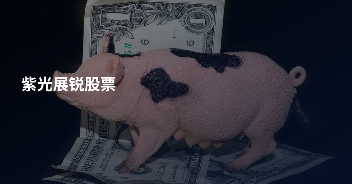 紫光展锐股票