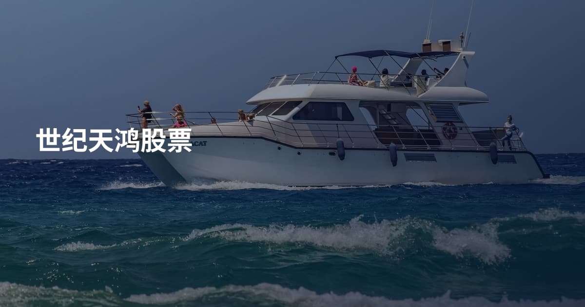 世纪天鸿股票