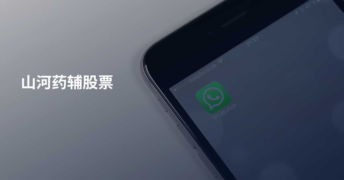 山河药辅股票