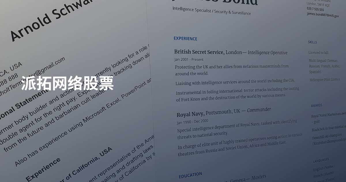 派拓网络股票