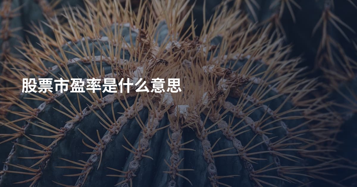 股票市盈率是什么意思